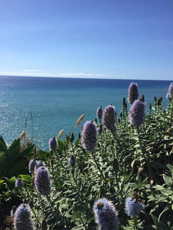 Calheta Ocean View Apartments 1 - Air Condition Estreito Da Calheta エクステリア 写真